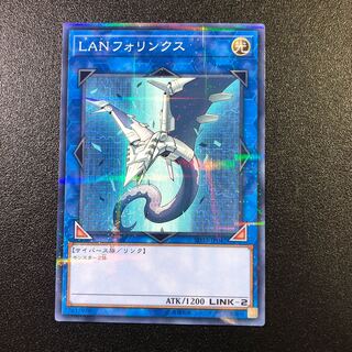 【N-PR】LANフォリンクス【ノーマルパラレル】