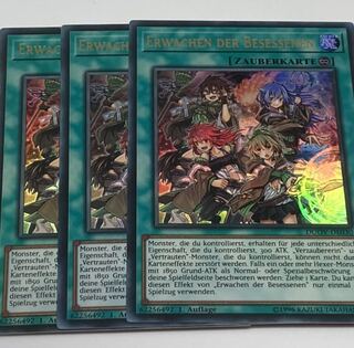 憑依覚醒　ドイツ語版　EU版　3枚