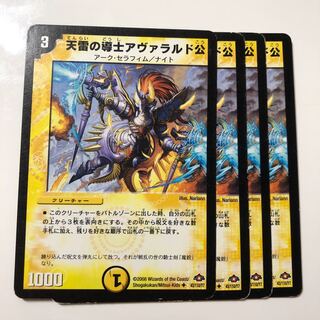 天雷の導士アヴァラルド公