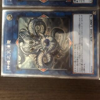 シンポウノアマツオカミ