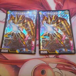 「雷光の聖騎士」