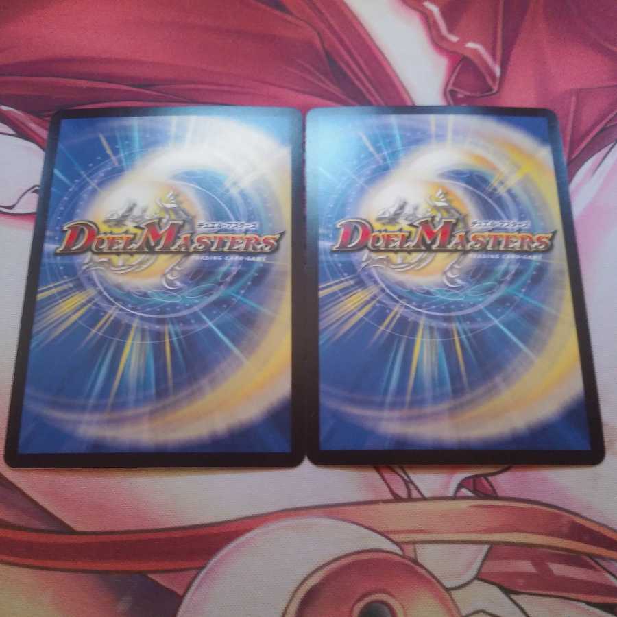 「雷光の聖騎士」