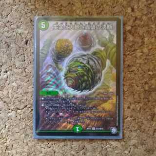 生命と大地と轟破の決断