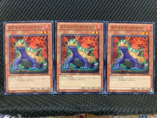 【ぽぽたん】遊戯王 10298 エヴォルド・オドケリス 3枚 ノーマル