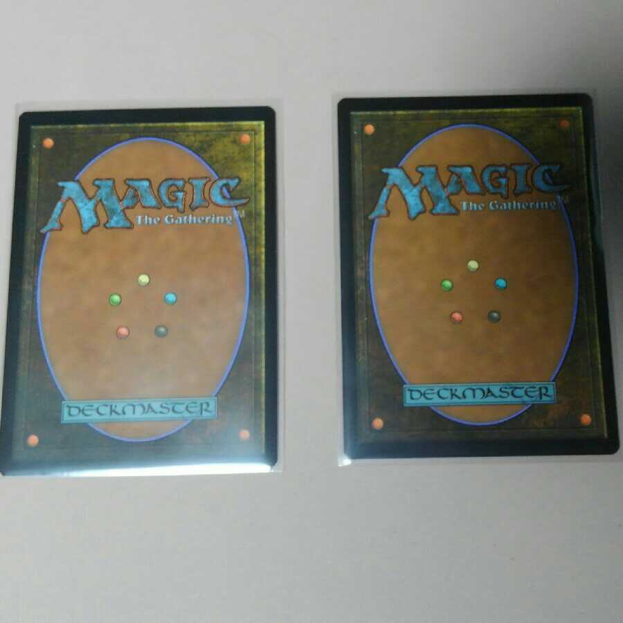 アロサウルス飼い 2枚セット