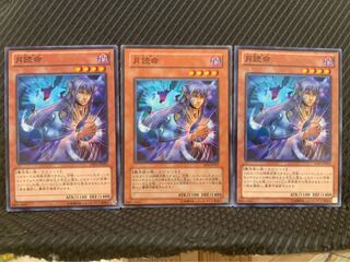 【ぽぽたん】遊戯王 9525 月読命 3枚 ノーマル