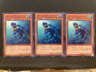 【ぽぽたん】遊戯王 9516 ツーヘッド・シャーク 3枚 ノーマル