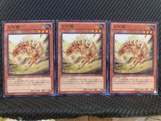 【ぽぽたん】遊戯王 9520 土地鋸 3枚 ノーマル