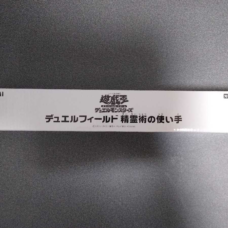 デュエルフィールド精霊術の使い手