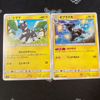 シママ ゼブライカ セット はやがけ 1枚