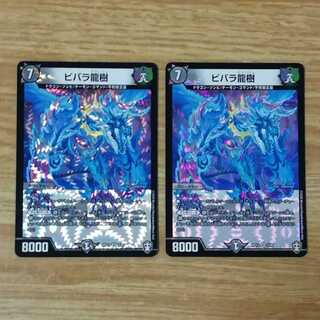 ビバラ龍樹　2枚