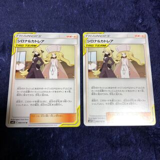 シロナ＆カトレア2枚セット