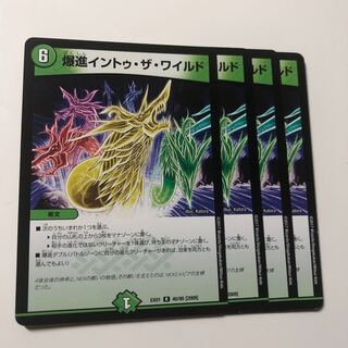 爆進イントゥ・ザ・ワイルド