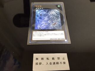 竜巻竜 ウルトラ