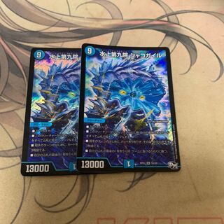 水上第九院 シャコガイル