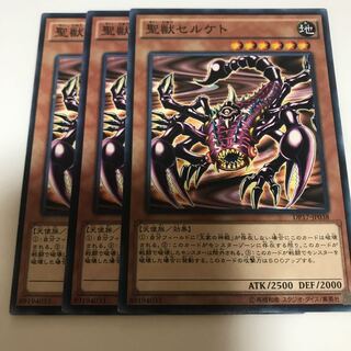 マドレース 聖獣セルケト ノーマル