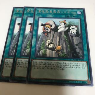 マドレース 緊急救急救命レスキュー レア