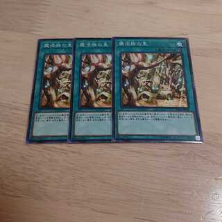 魔法族の里 ノーマル ３枚