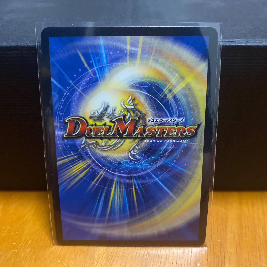 「雷光の聖騎士」