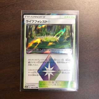 ライフフォレスト プリズムスター 1枚