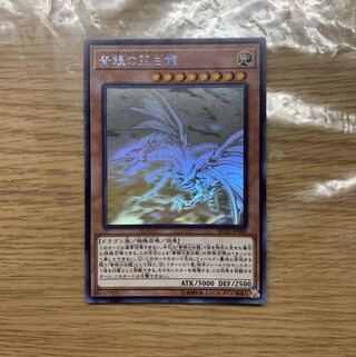 青眼の亜白龍 HR