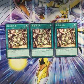 魔法族の里 ノーマル