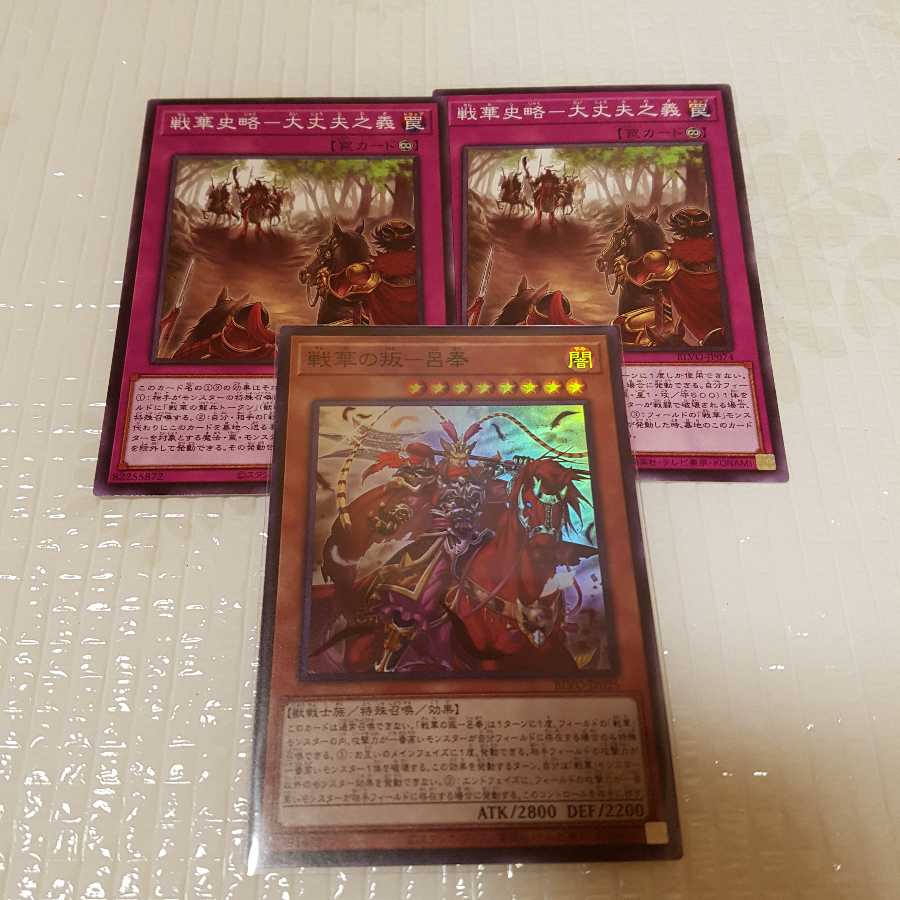 戦華の叛-呂奉 スーパーレア 戦華史略-大丈夫之義 ノーマル 2枚