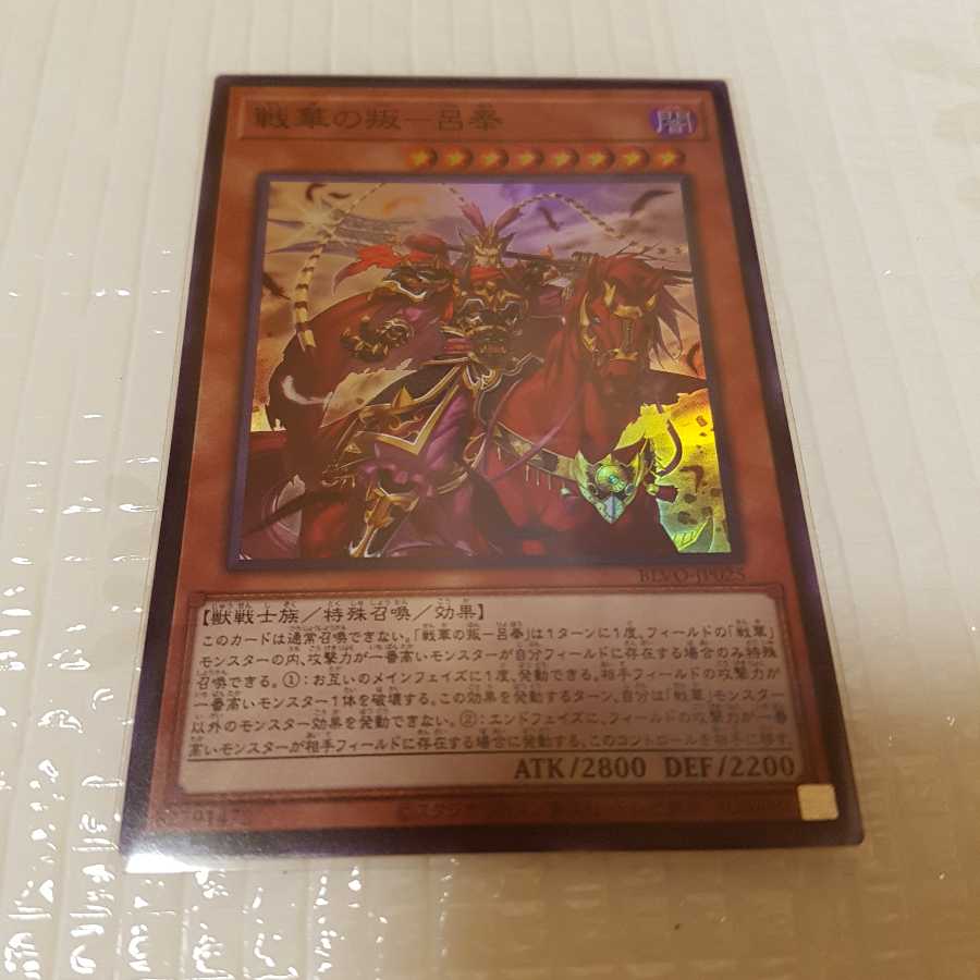 戦華の叛-呂奉 スーパーレア 戦華史略-大丈夫之義 ノーマル 2枚