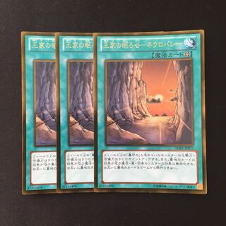 e10 王家の眠る谷-ネクロバレー- ゴールドレア 3枚セット 遊戯王 トレトレ