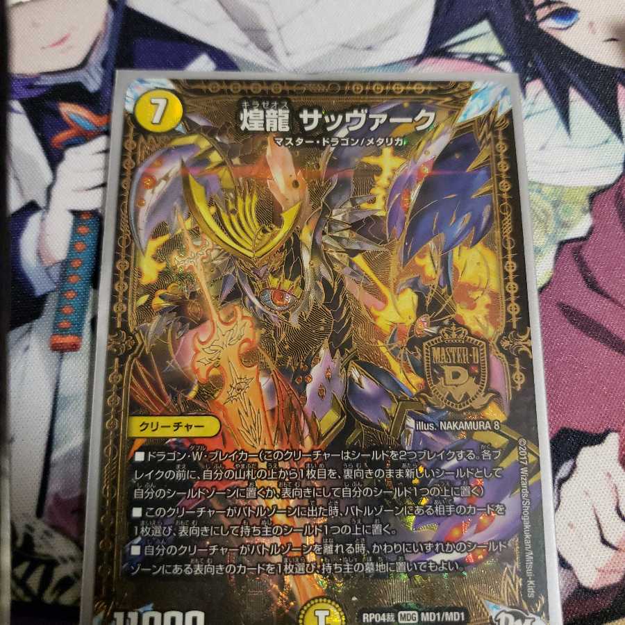 煌龍 サッヴァーク