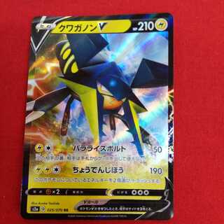 クワガノン　RR #77-012