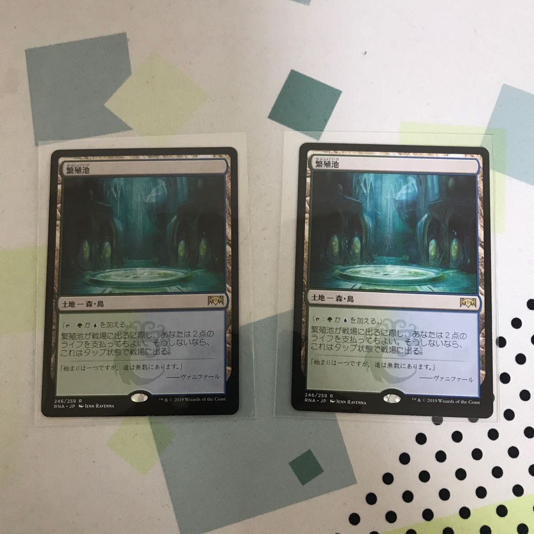 繁殖池 レア 2枚セット