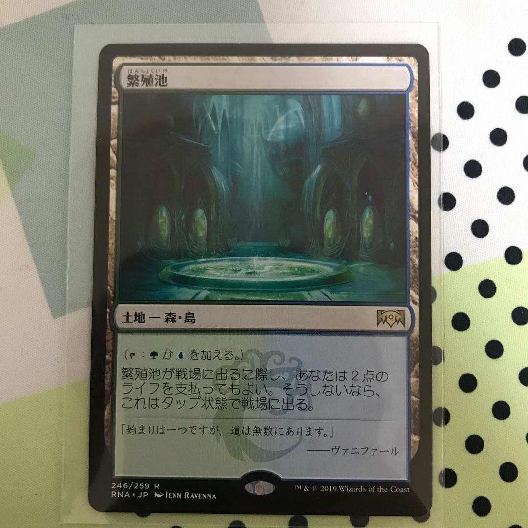 繁殖池 レア 2枚セット