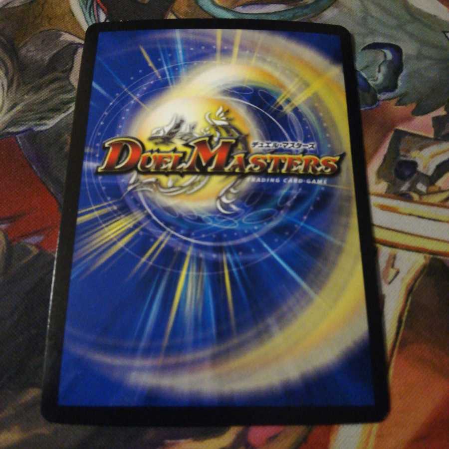 煌龍 サッヴァーク