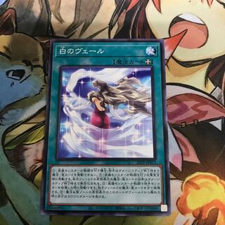 複数購入☆割有　白のヴェール　ノーマル