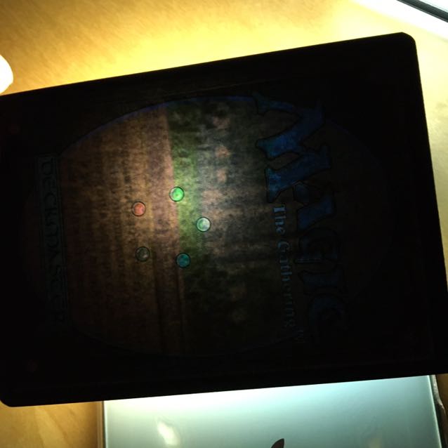 The Tabernacle at Pendrell Vale イタリア語1枚