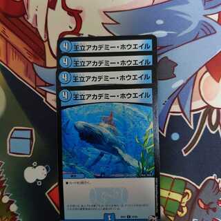 Royal Academy of Huayl, set of 4