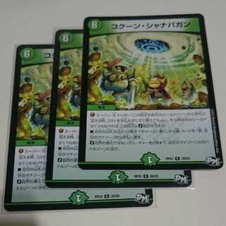 コクーン・シャナバガン