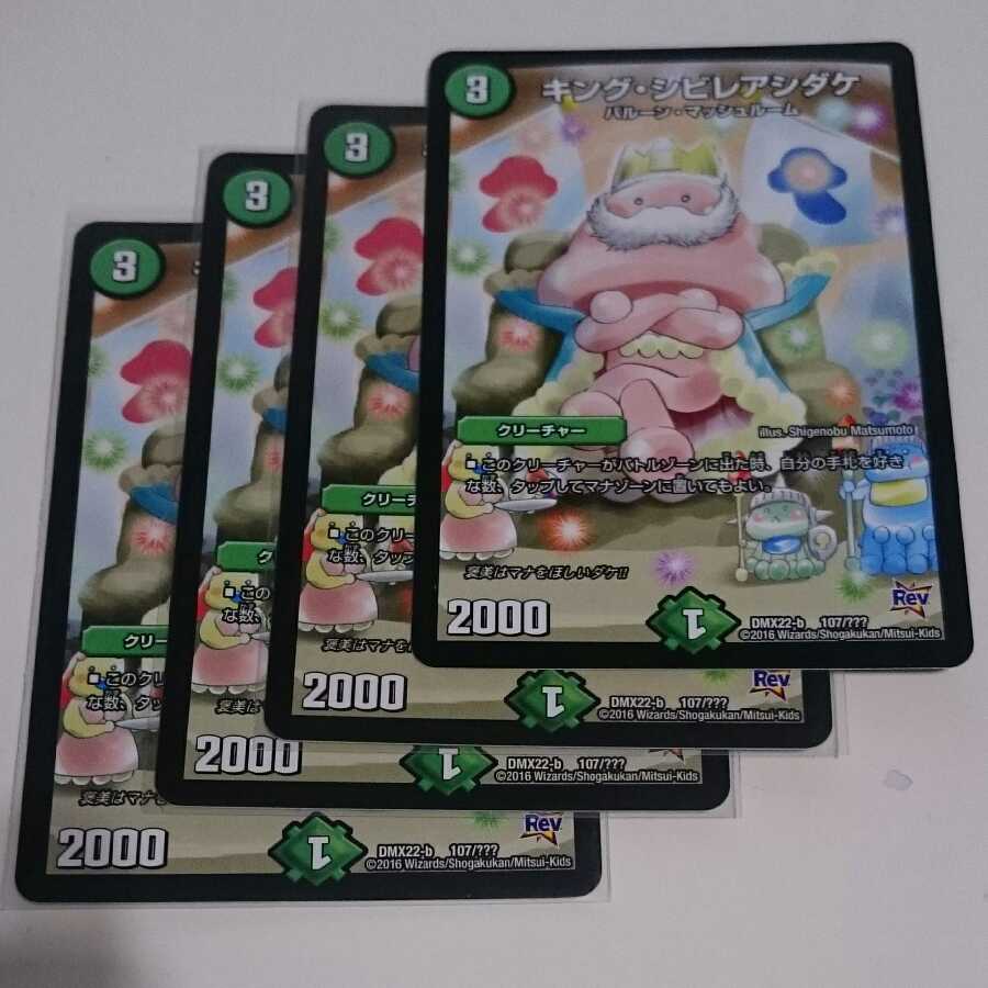 キング・シビレアシダケ