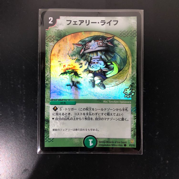 フェアリーライフ初期プロモ