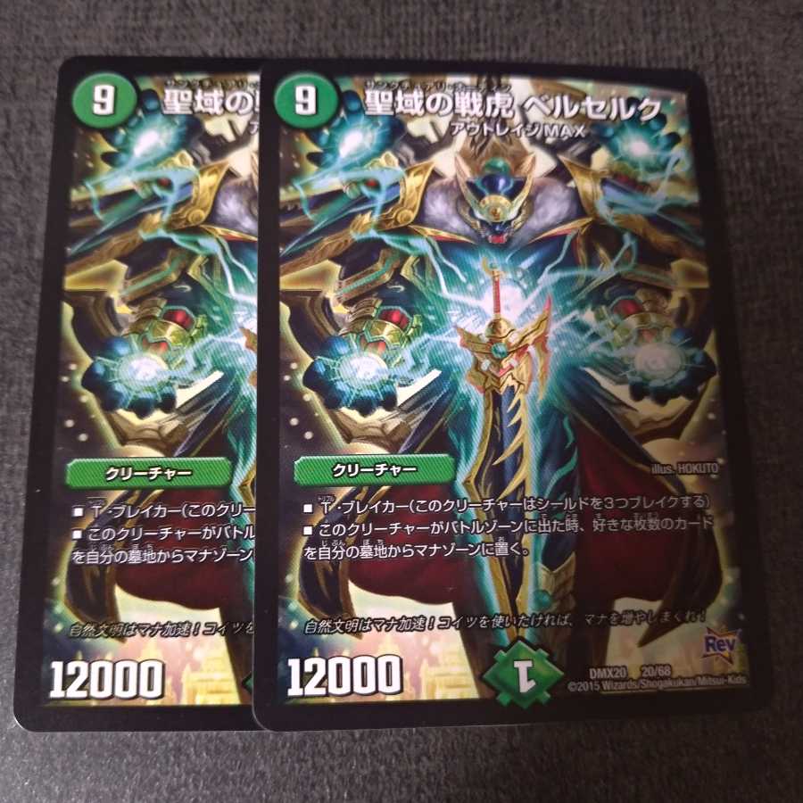 聖域の戦虎 ベルセルク 1枚の通販 いずも(火土発送)（438830590） | magi