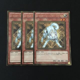 e66 ライトロード・ハンター ライコウ ゴールドレア 3枚 遊戯王 トレトレ