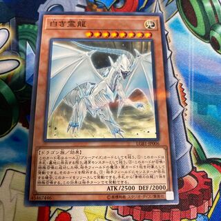 ◉白き霊龍 パラレル ノーマル