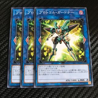 プロトコル・ガードナー ノーマル