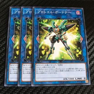 プロトコル・ガードナー ノーマル