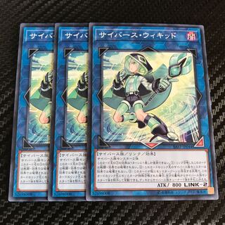 サイバース・ウィキッド ノーマル