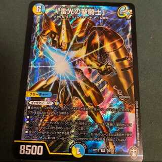 「雷光の聖騎士」