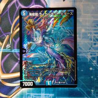 海姫龍 ライベルモット・ビターズ SR