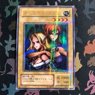 ヂェミナイ・エルフ　パラレル