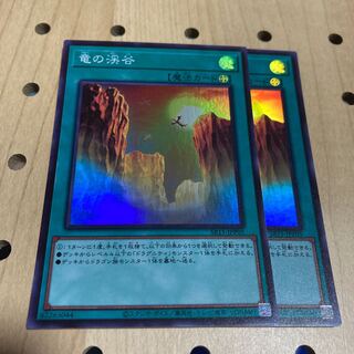 竜の渓谷 スーパーレア 2枚セット ドラグニティ